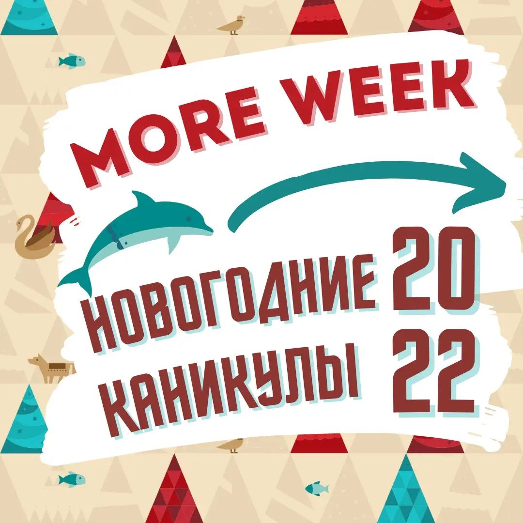 ПРОГРАММА фестиваля MORE WEEK